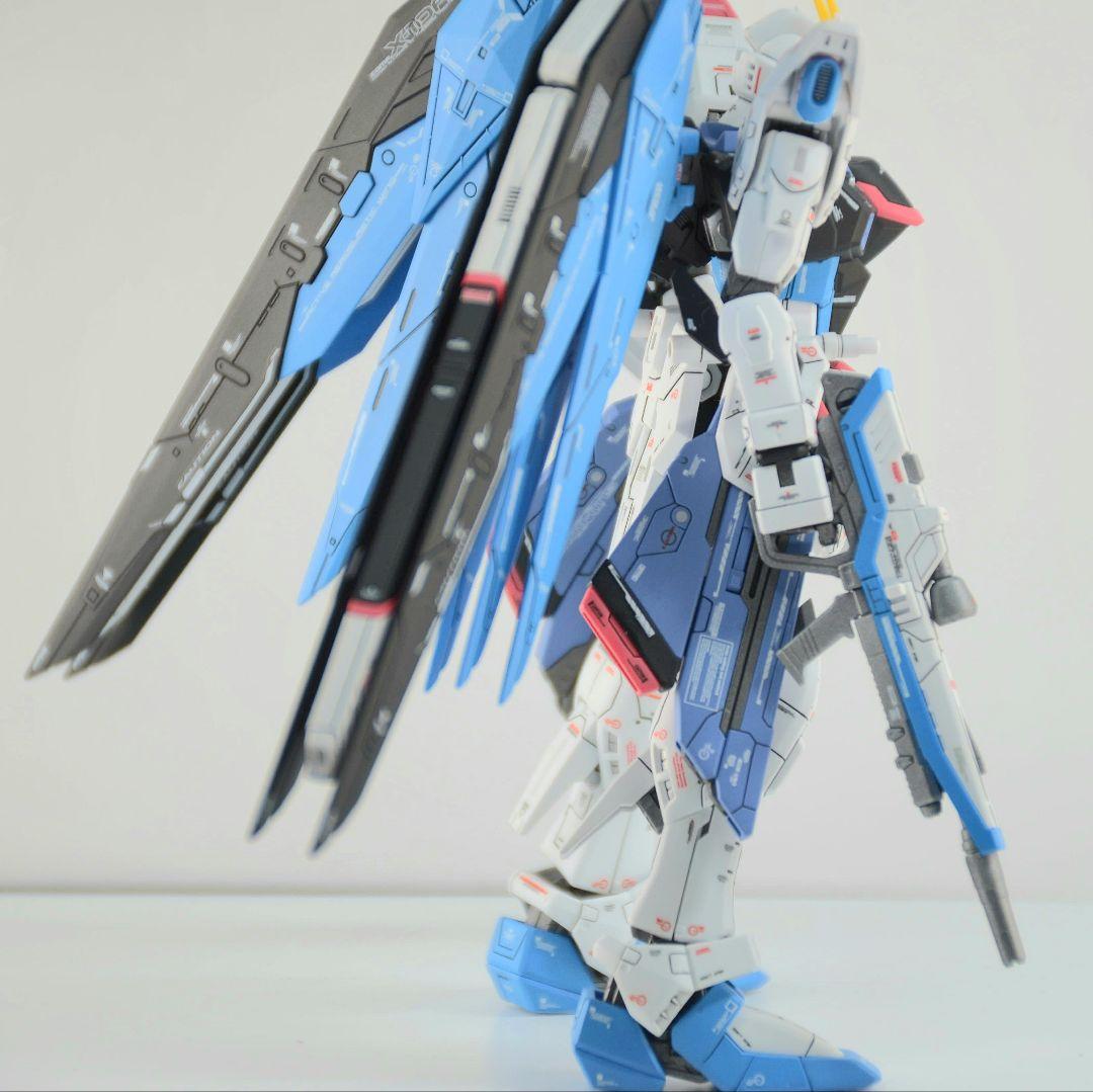 RG フリーダムガンダム 塗装 完成品 バンダイ ガンプラ 1/144