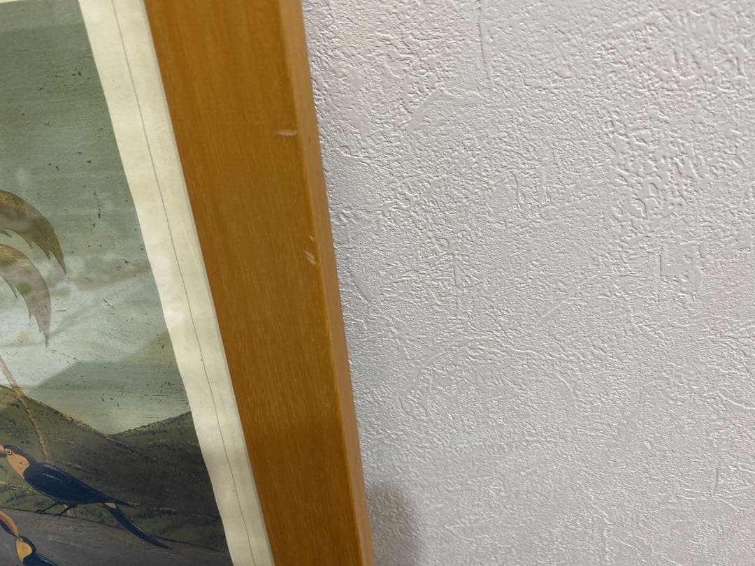 WARREN KIMBLE ウォーレンキンブル　ノアの方舟