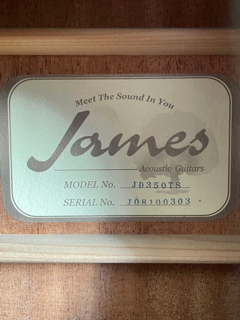 James JD350TS アコースティックギター ケース付