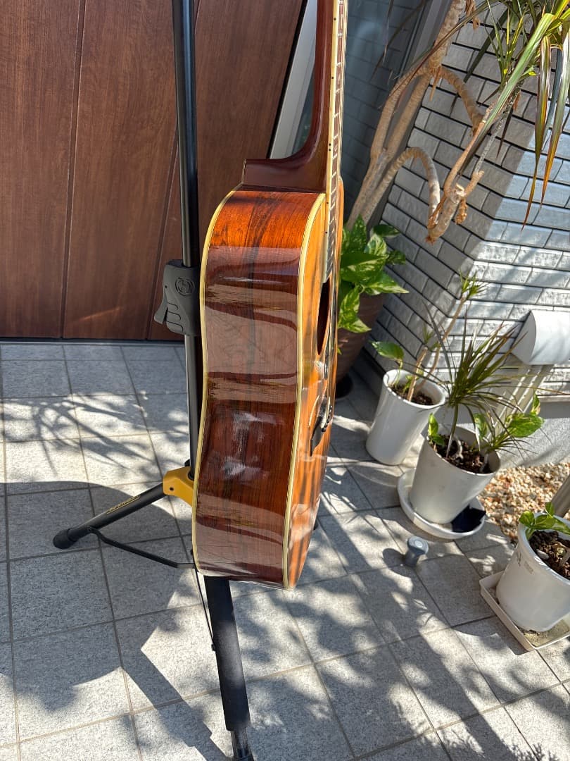 Morris W-60 トップ単板　サイド、パックはハカランダ