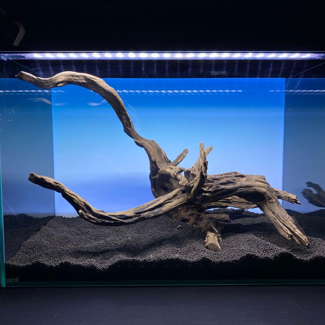 MSRW-6510 スリムウッド2本セット　60cm水槽用流木　アクアリウム