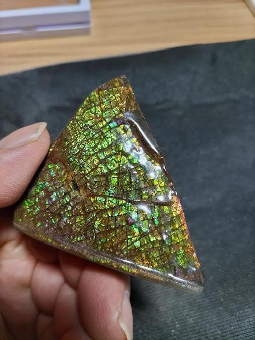 アンモライト 標本 両面 アンモナイト ドラゴンスキン おまけ