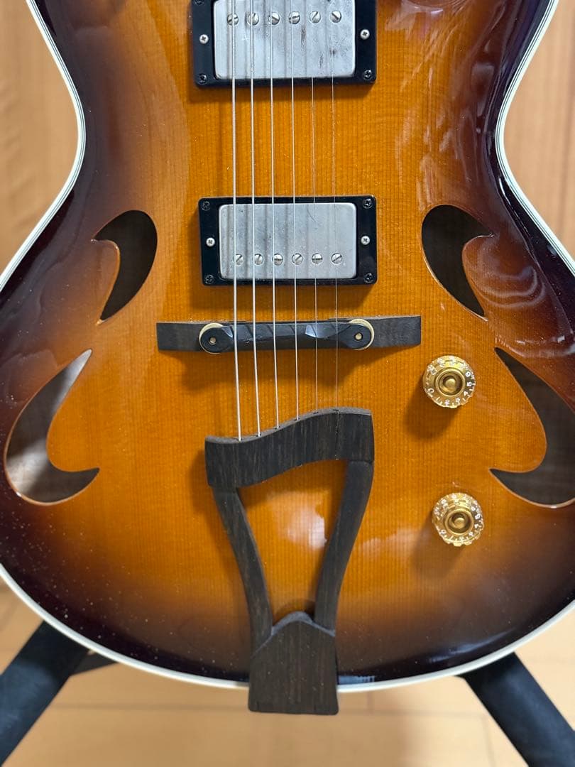 T’s guitars Arc Hollow Jazz