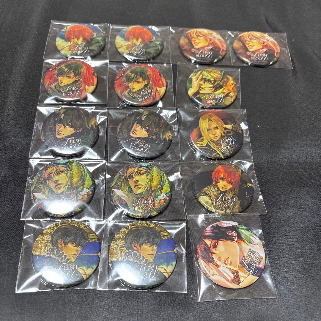 FLESH＆BLOOD くじ ミニ缶バッジ 全種 16個セット