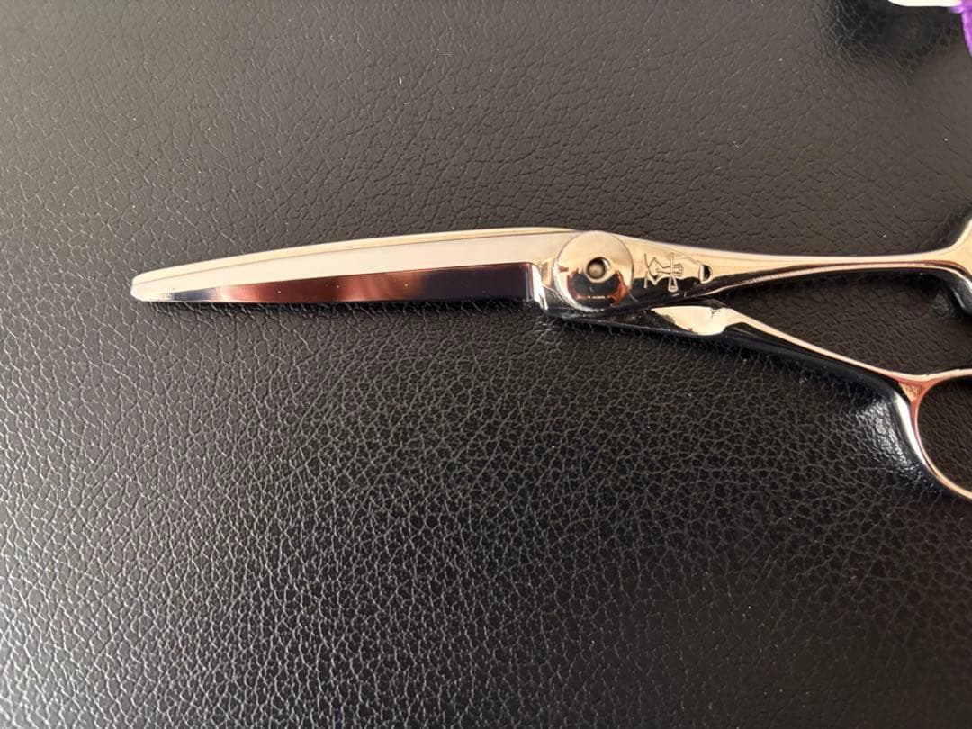 【セール】【Z2】「極レア」新品 ハイネッタ シザー レミートップ 206