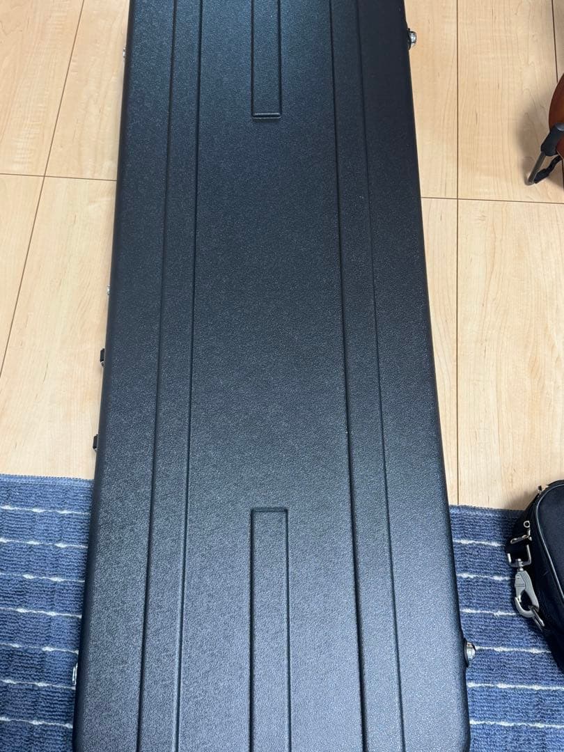 SAITO GUITARS S-622TLC Naked サイトウギター送料無料