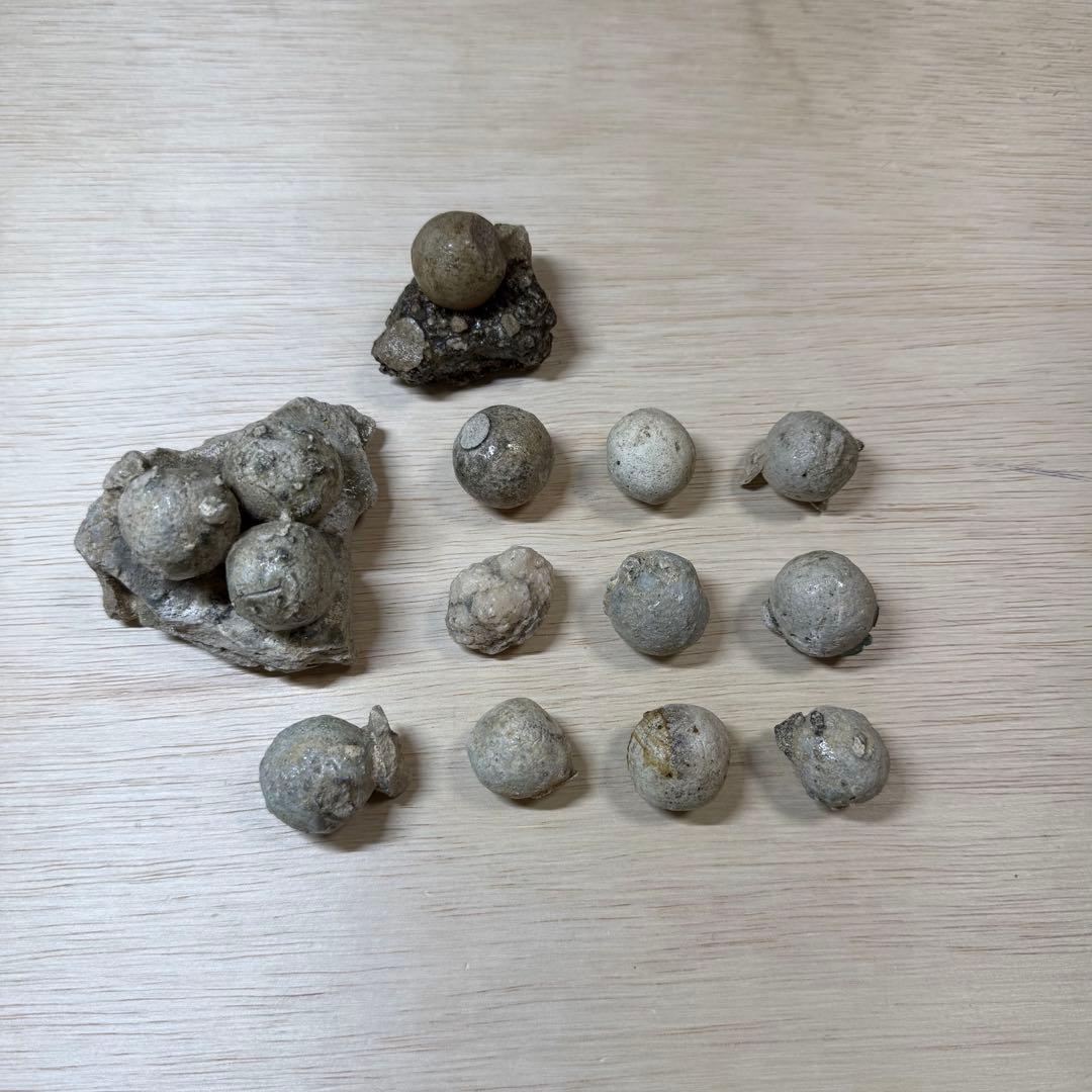 古瀬戸 陶丸 鎌倉時代 室町時代 陶片 発掘品 古常滑 古美濃 古美術 骨董品