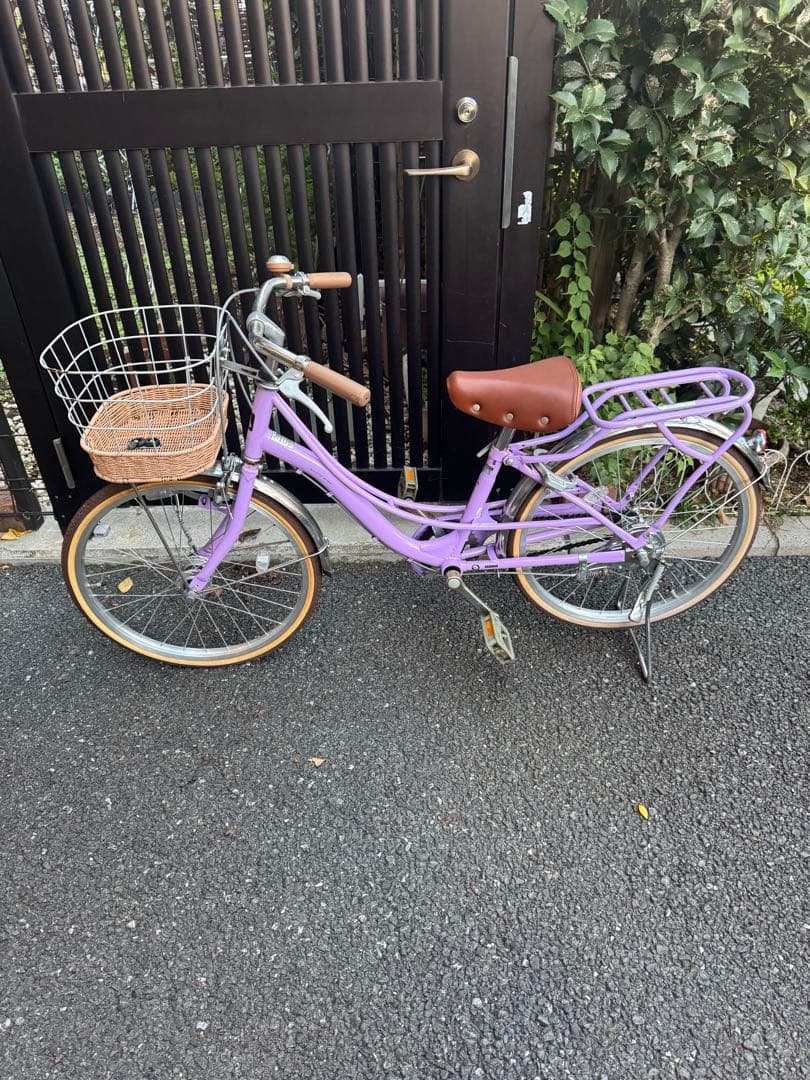 フェリーク Jr. BAA-O 20インチ オートライト 子供用 自転車