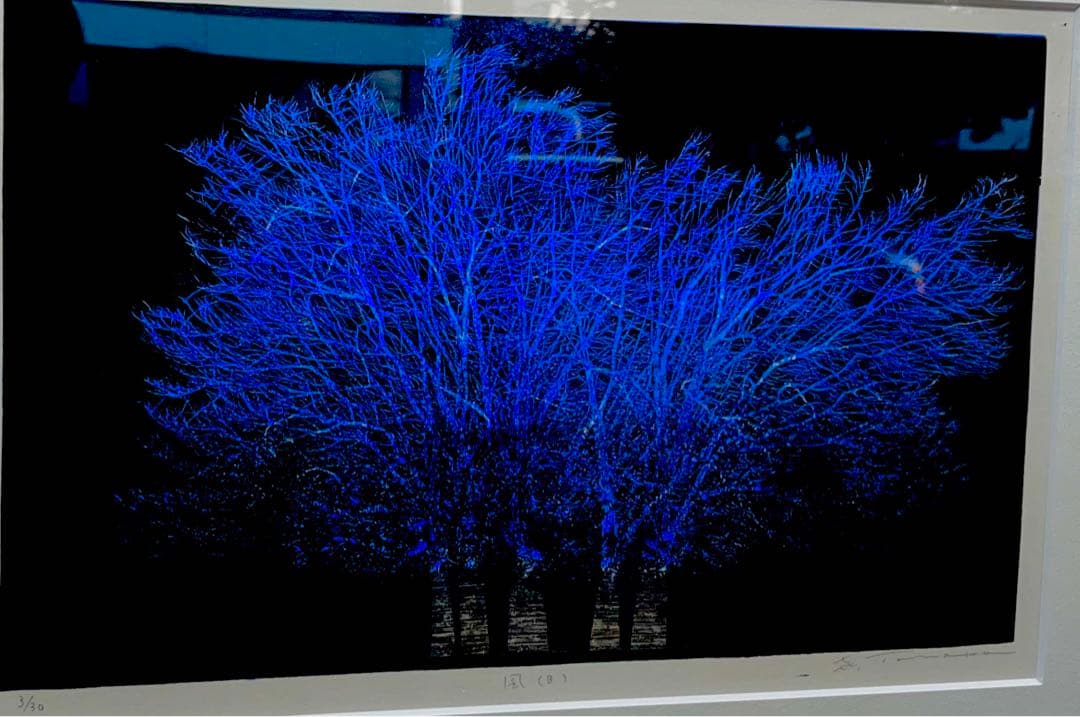 絵画　-風- 3/30 田中喜一