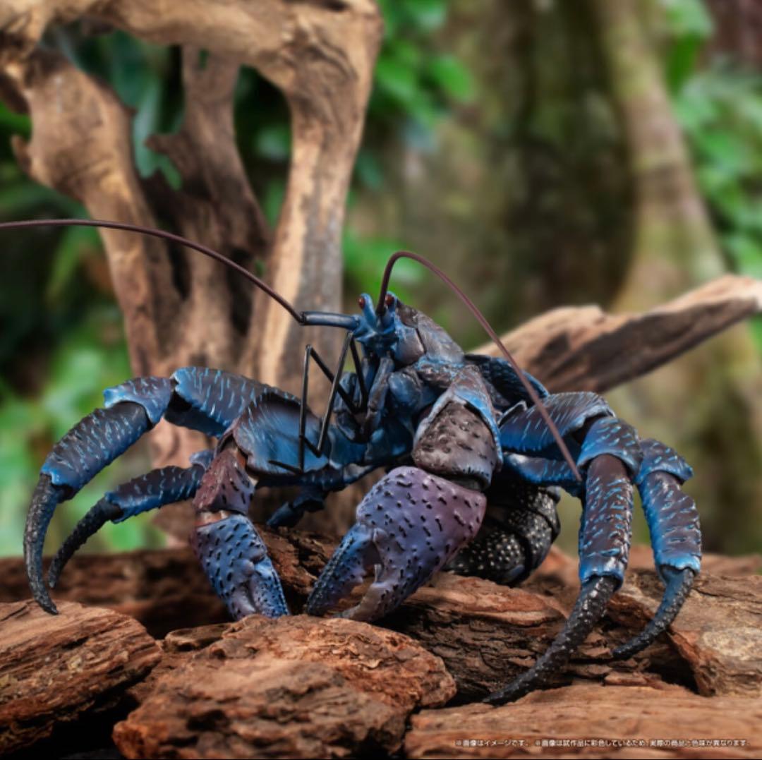 【未開封】いきもの大図鑑プレミアム　ヤシガニ