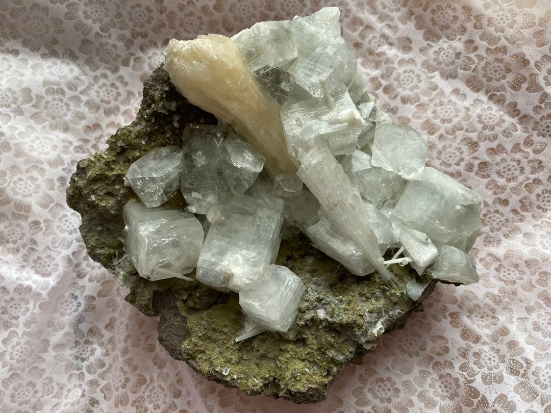 アポフィライト