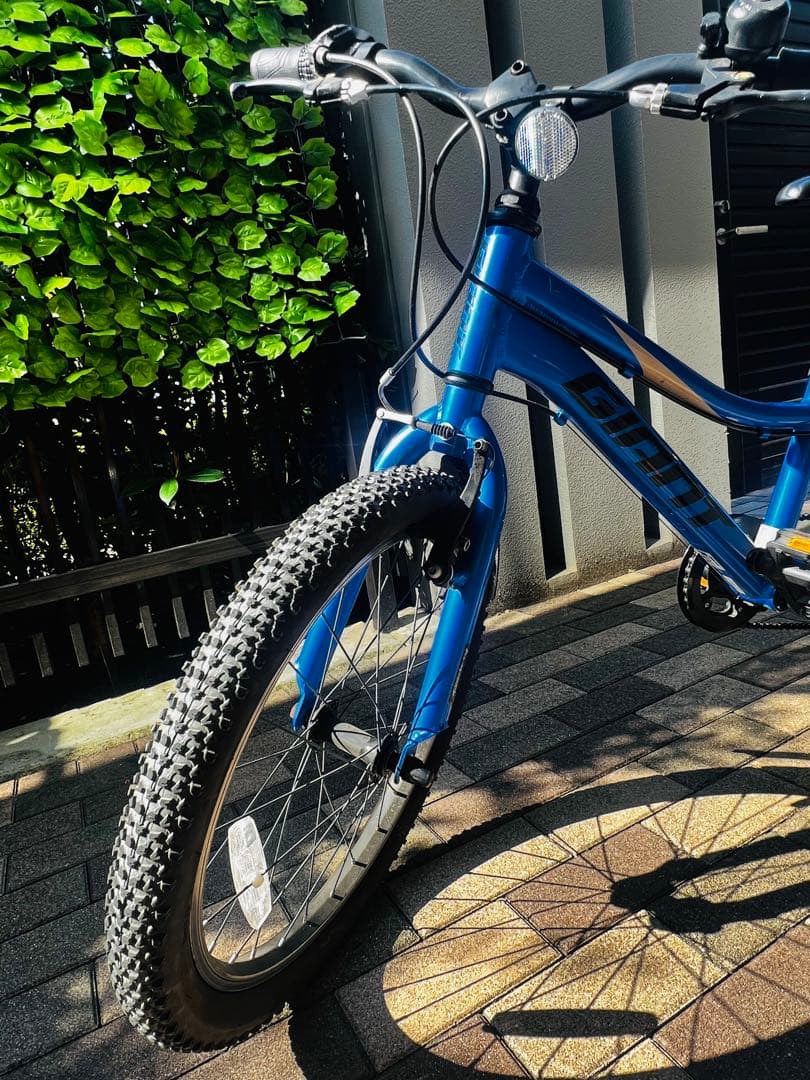 XTC JR 20 LITE giant ジャイアント 自転車 アジュールブルー