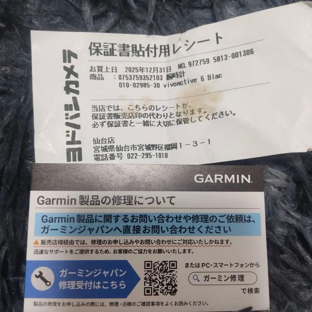 ガミンVivoactive6