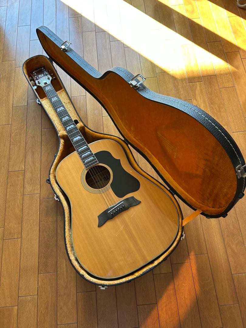 Morris MG-50 アコースティックギター