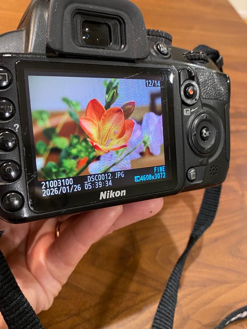 Nikon D3100 デジタル一眼　af-s 18-55 GⅡレンズ付　動作品