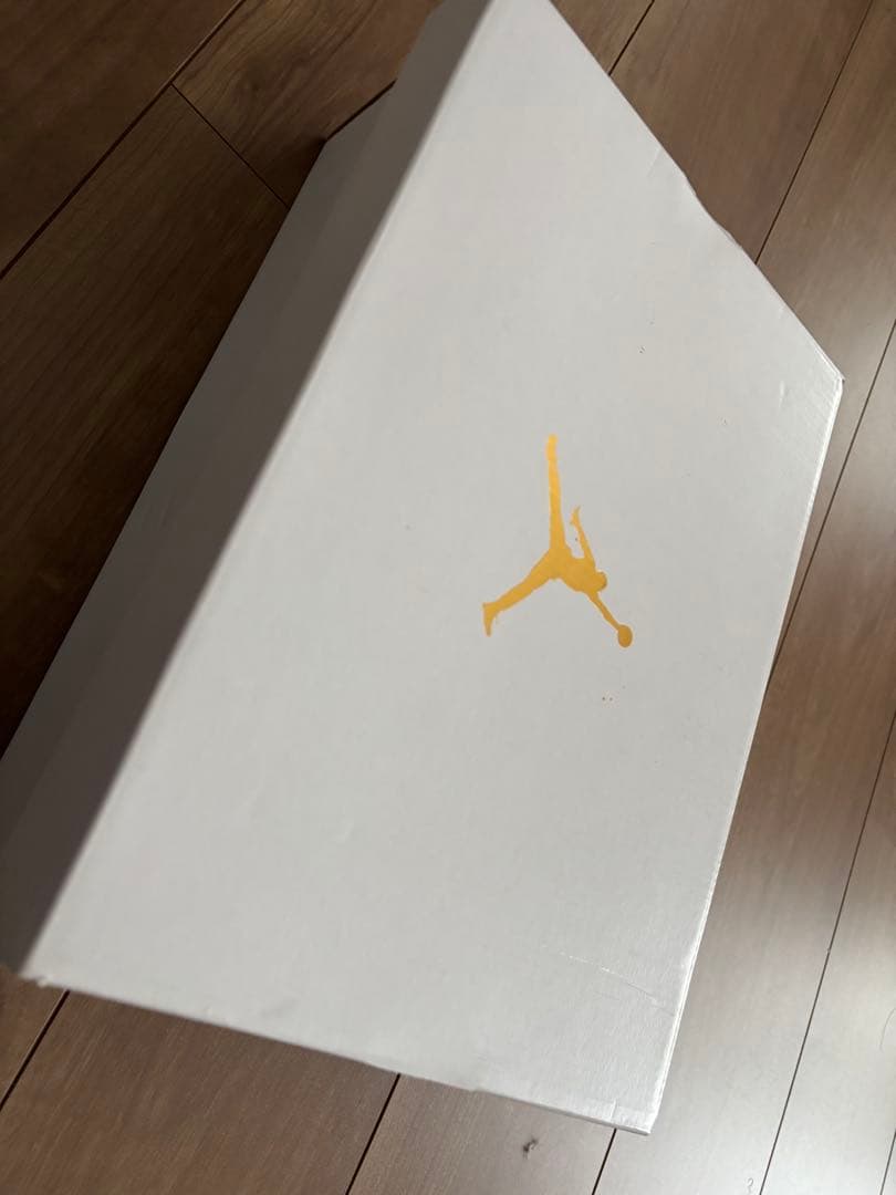 Nike Air Jordan 1 Low 28.5㎝　新品・未使用
