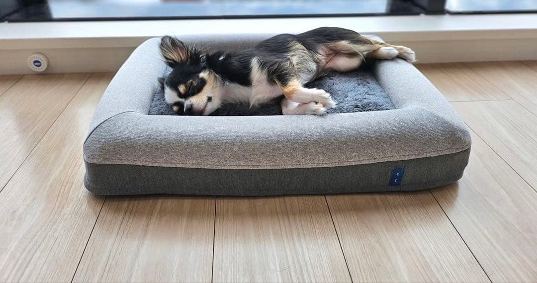 犬用クッションベッド スモールサイズ guguドギー　グーグースリープ