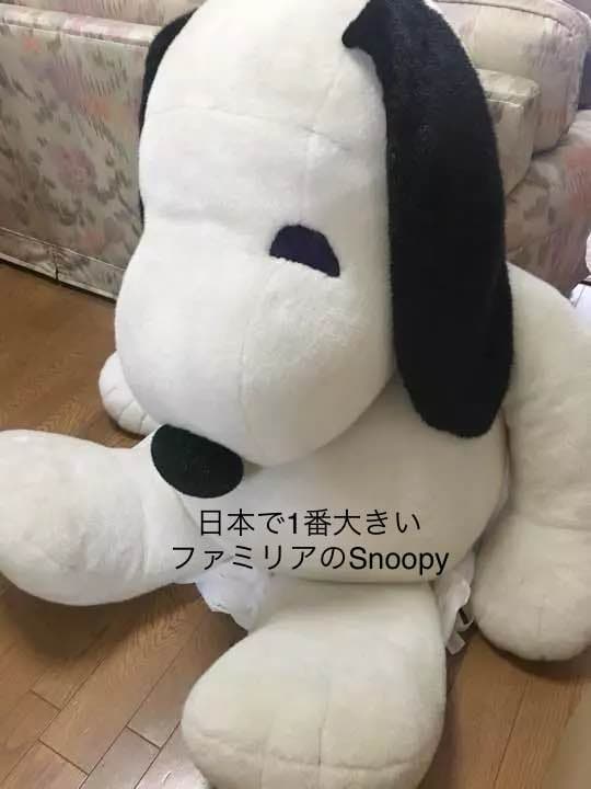 ファミリア スヌーピー Snoopy 最大級  引き取り兵庫【いまだけ】