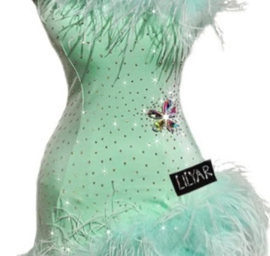 社交ダンスドレス 新色 ラテンワンピースドレス 豪華 羽スカート オーダーメイド