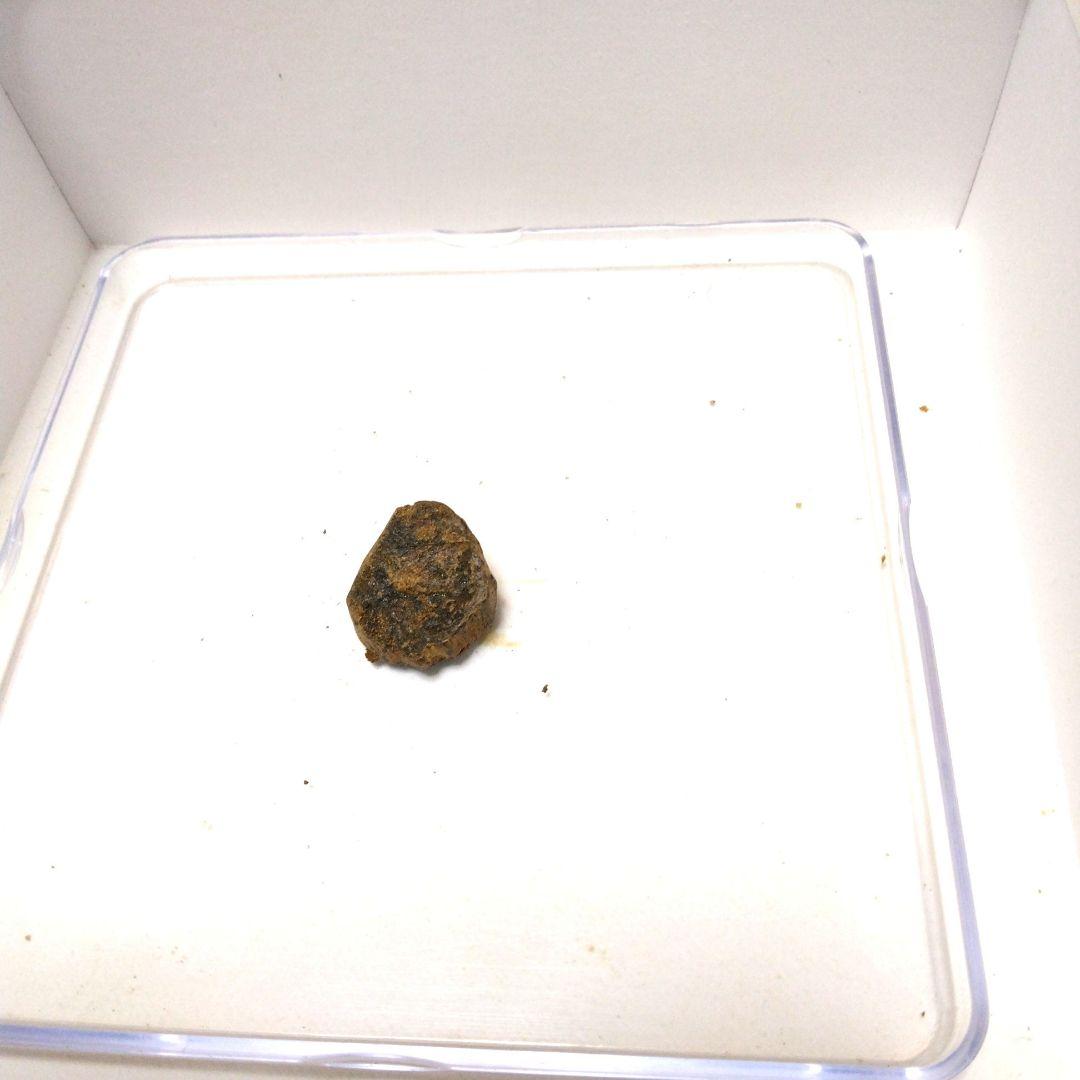 最高級タニ沈香1.26g