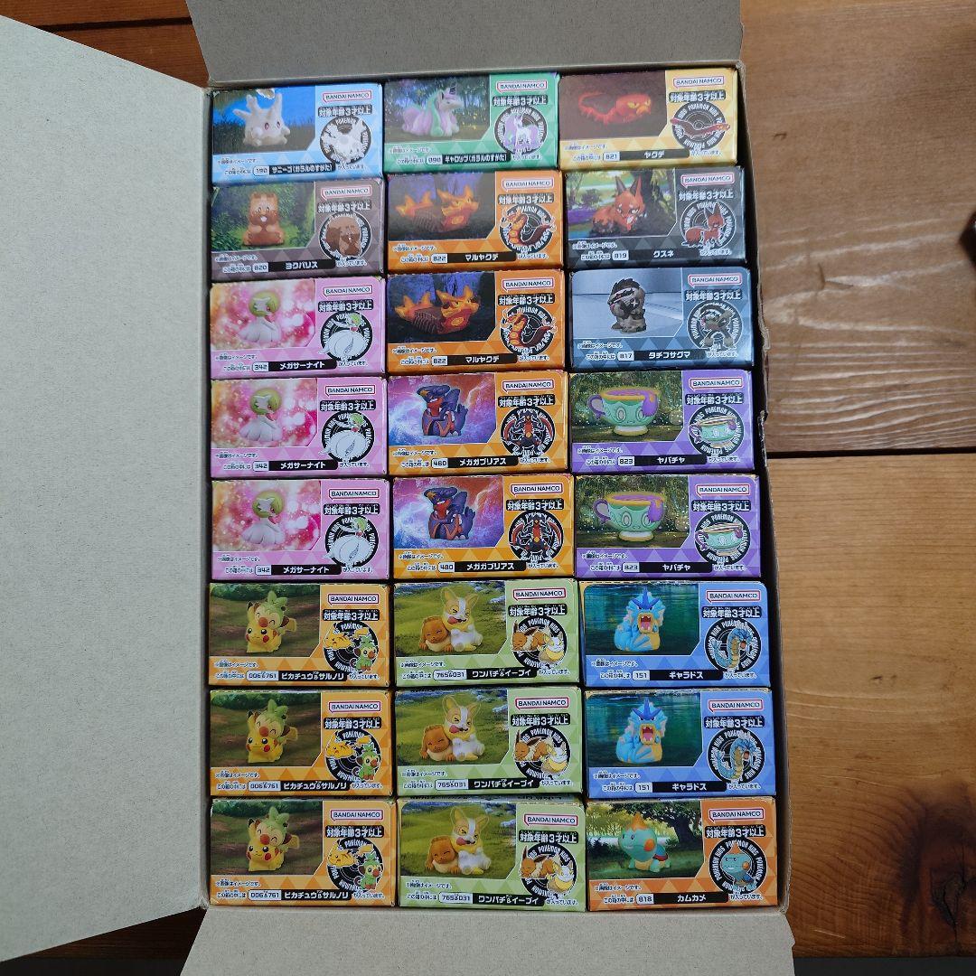 ポケモンキッズ 旅のなかまたち編　新品未開封