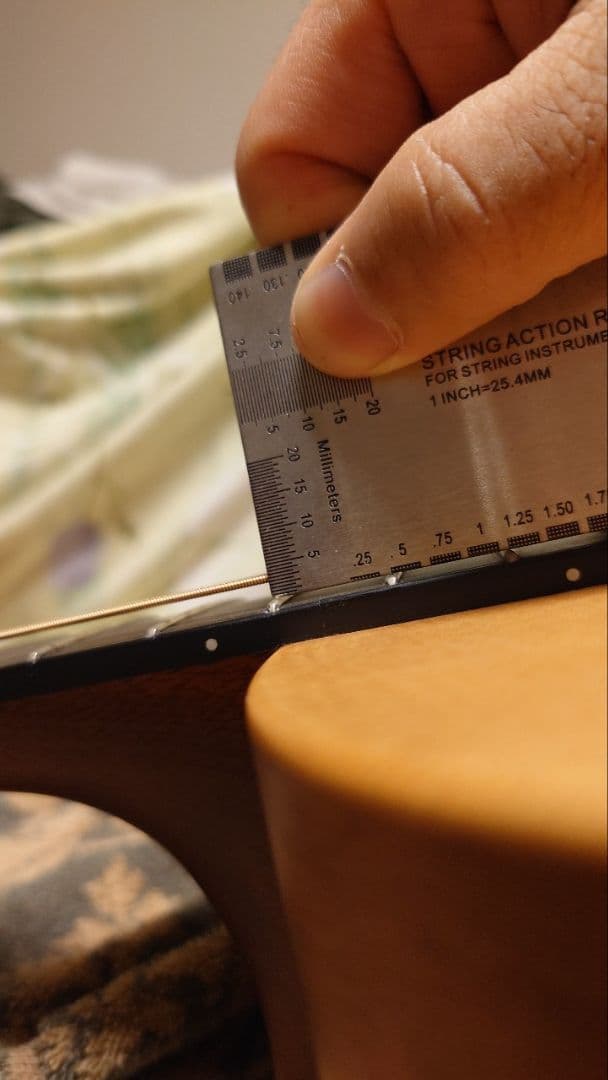 Larrivée パーラー o-01 shadow nano mag付