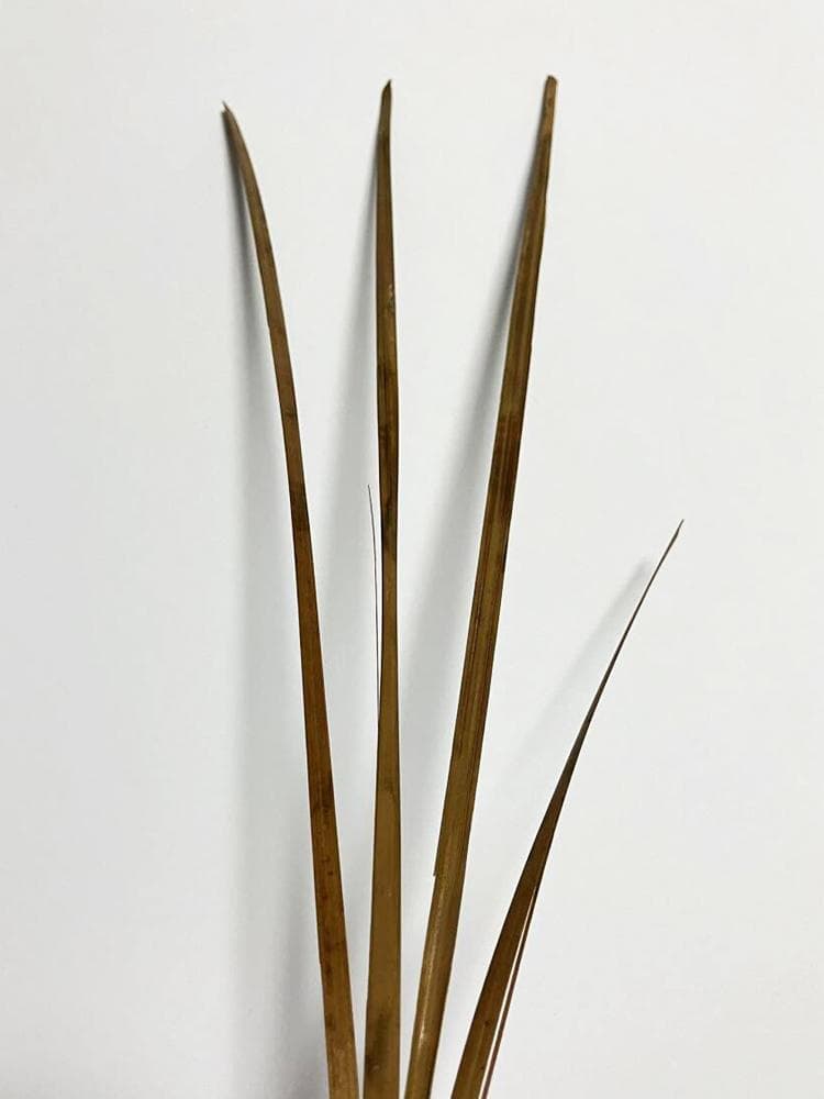 【書】　★ 文献 古中国竹簡 4本 ★　漢朝期　篆書 隷書 古代漢字　高古簡牘