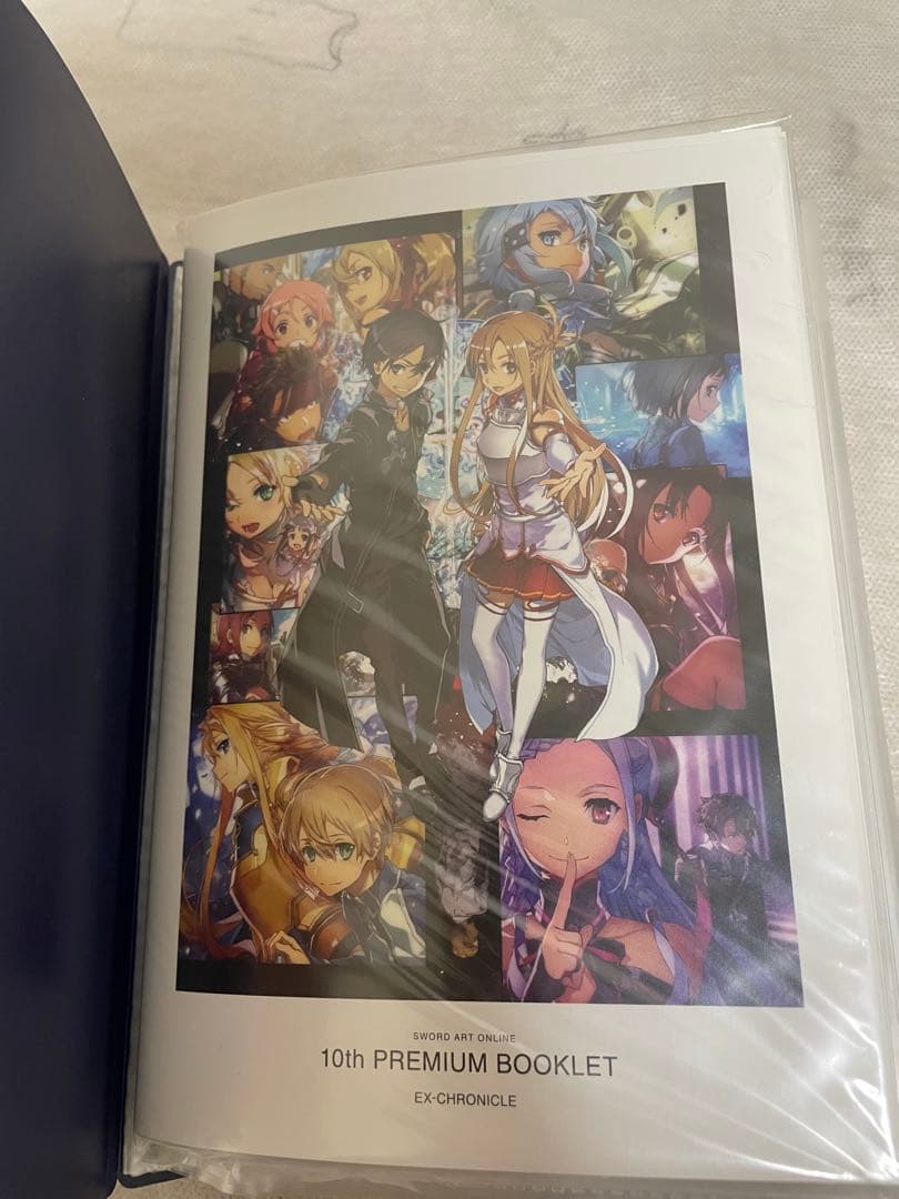 【希少・未使用品】ソードアート・オンライン エクスクロニクル セット