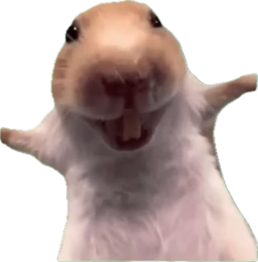 スパチ ディスクホイール 11s