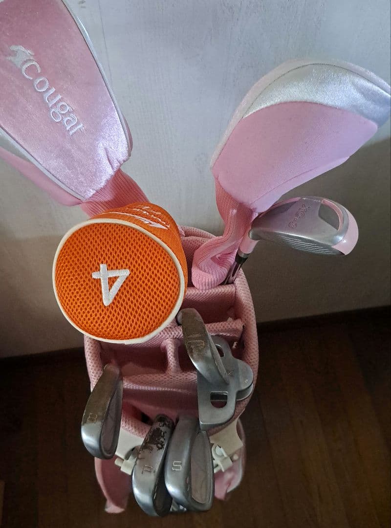 レディース ゴルフクラブセット ワールドイーグル キャディバッグ付 初心者