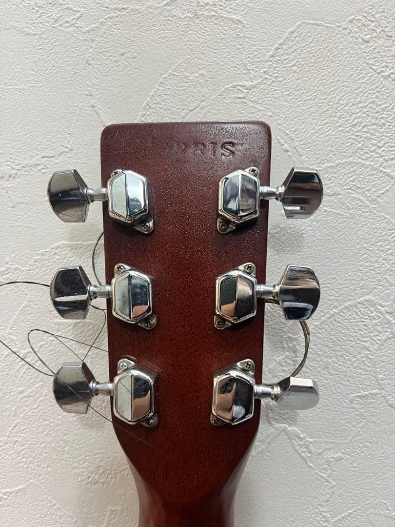 Morris W20 ギター アコースティックギター モーリス