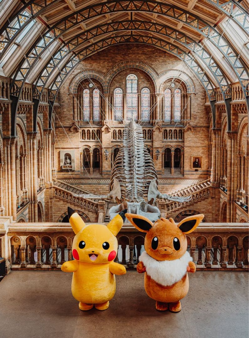 5枚組 ピカチュウ Pikachu at the Museum 博物館 プロモ