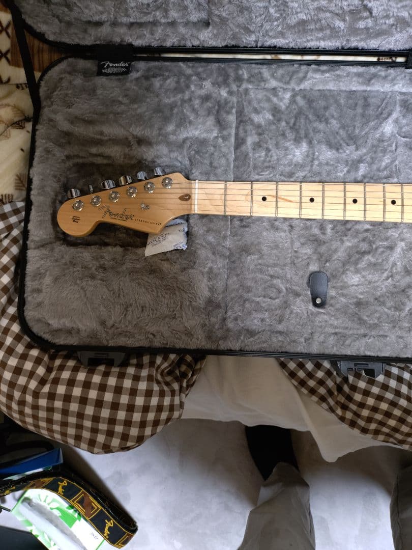 Fender AmericanProfessionalレフティ ハードケース付き