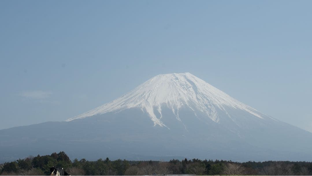 Nikon デジタル一眼レフカメラ Nikon D600