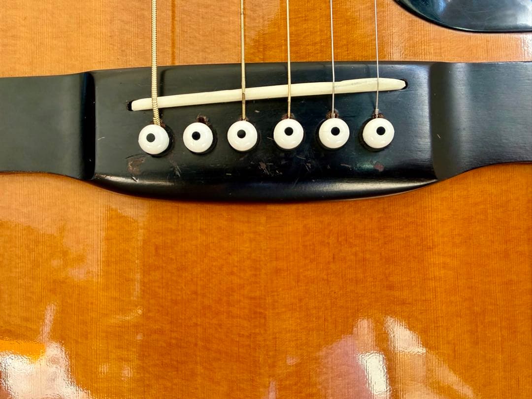 TOKAI Cat's Eyes TCM60 アコースティックギター