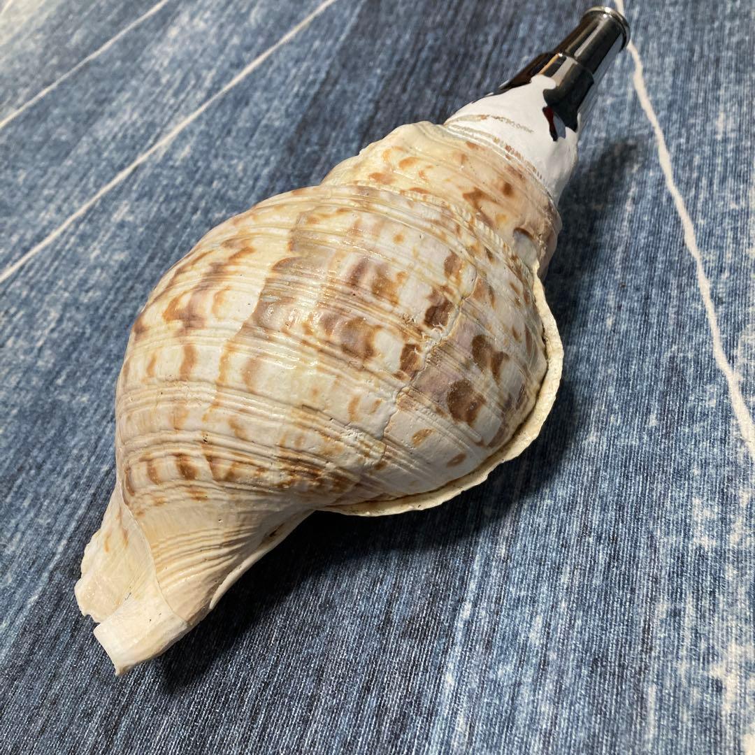 法螺貝　ホラ貝　ほら貝　修験道　山伏