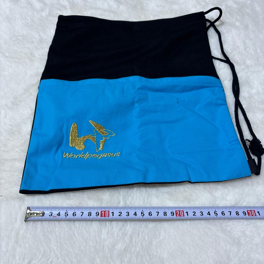 本日限定63800円！ワールドペガサス　グランドペガサス硬式外野手用　袋付き新品