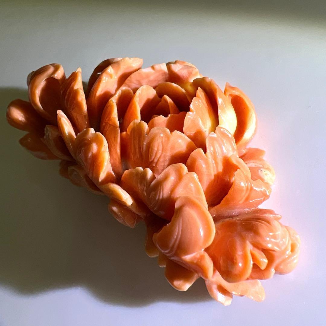 本赤珊瑚　大振バラ彫刻　31g 東Y8-0203☆2F