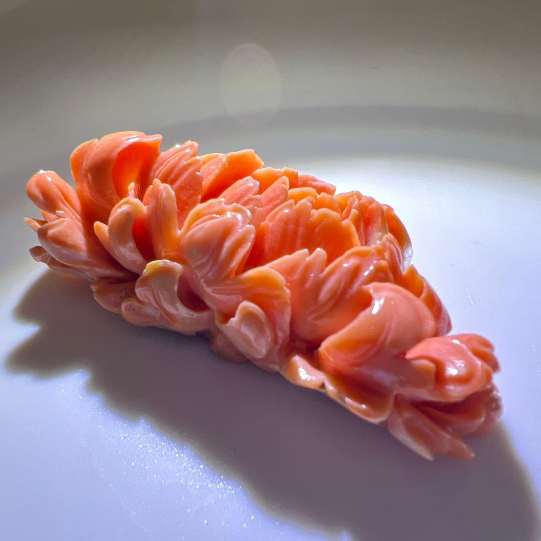 本赤珊瑚　大振バラ彫刻　31g 東Y8-0203☆2F