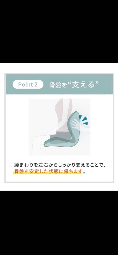 Style premium スタイルプレミアム　ブラック美品 人間工学チェア