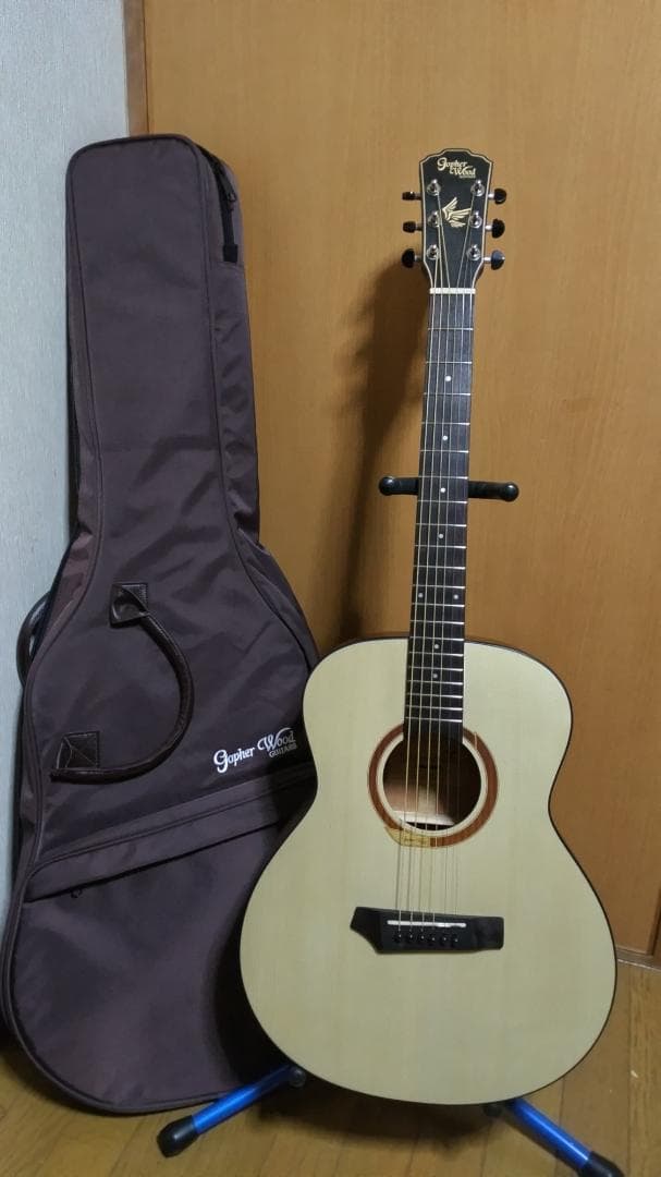 ❤️弦高調整済！「Gopher ゴフェル I110SX 」サウンドピラー内蔵！