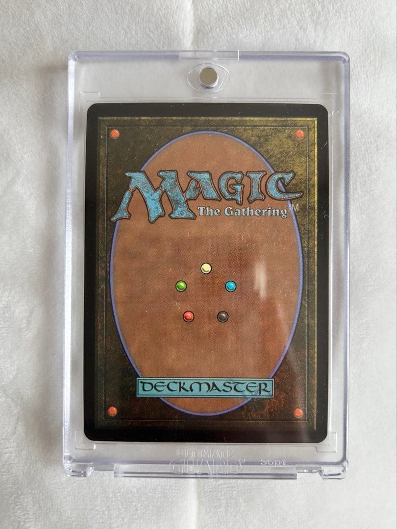 MTG 魔女の予見　今週中のみ値下げ