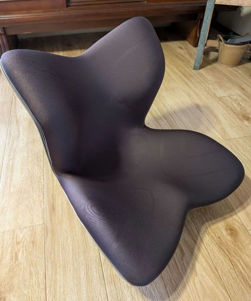 StyIe PREMIUM　スタイルプレミアム　ブラウン　骨盤矯正