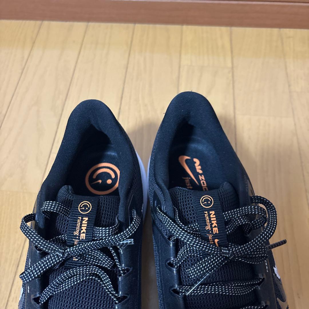 大きいサイズ　試着のみ　Nike Pegasus 40ブラックus13 31cm