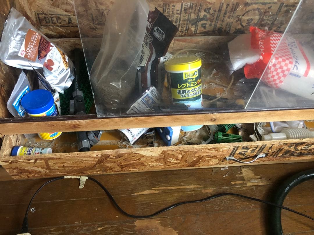 1200ゲージ爬虫類、猛禽類