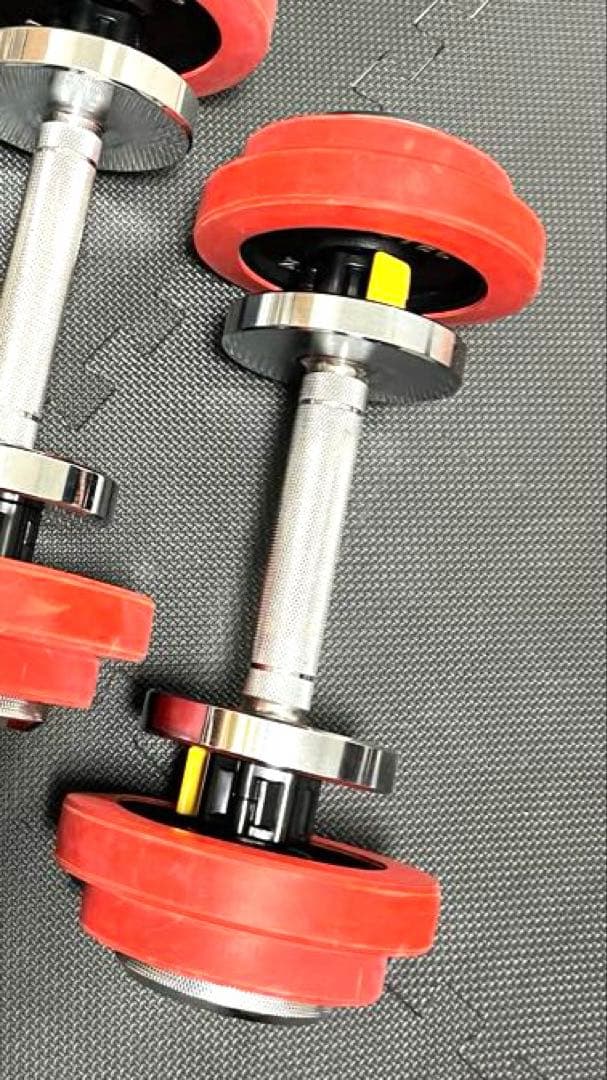 モリヤ ロングスクリューダンベルセット 1本　IROTECプレート付き