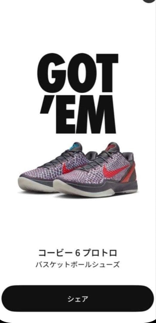 コービー 6 プロトロ バスケットボールシューズ