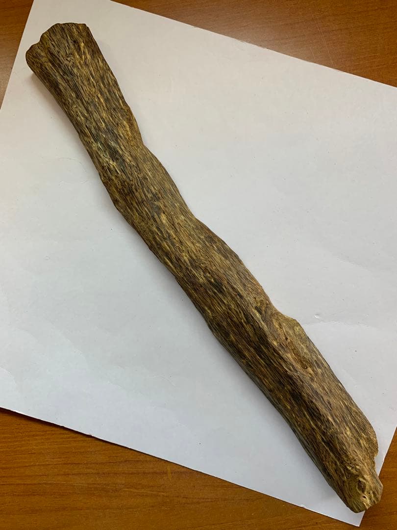 極上緑油伽羅 沈香原木 香木 重さ:131.8g (高ランク本物証明)