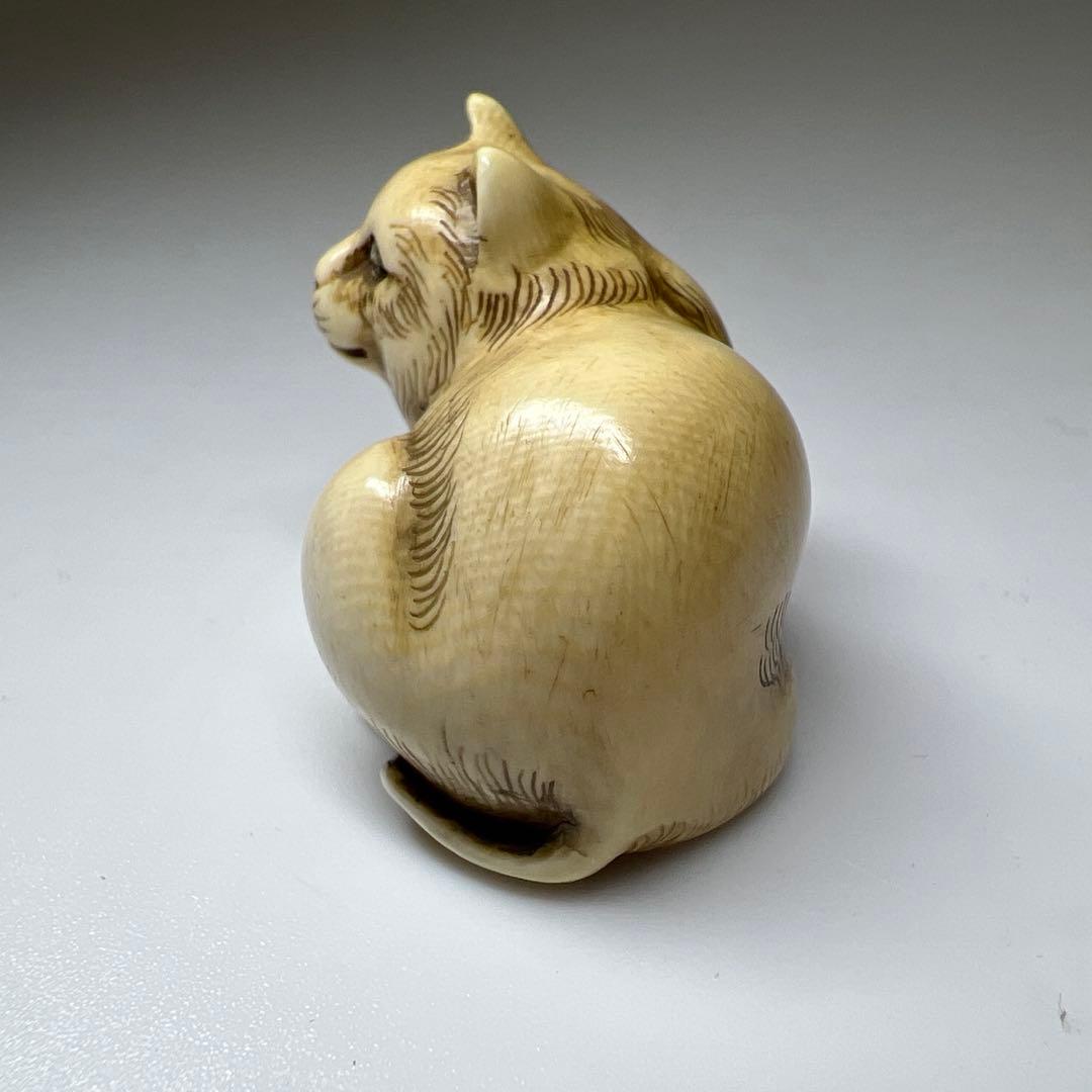 和之在銘　極上猫根付　木箱付　21g 東Y8-0205☆2Fトヒオ