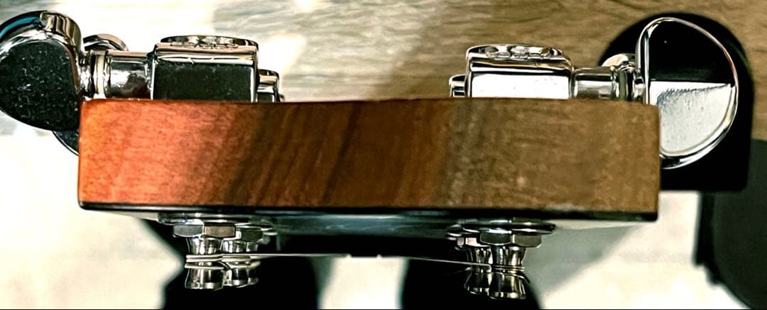 貴重 Maton Mastersound MS-500 ビートルズ